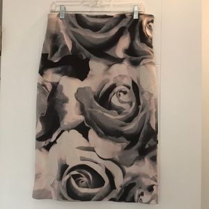 Worthington skirt